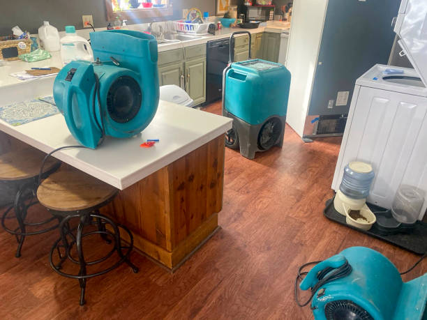 Best Flood damage cleanup  in Huguley, AL