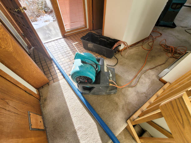 Best Basement water damage restoration  in Huguley, AL