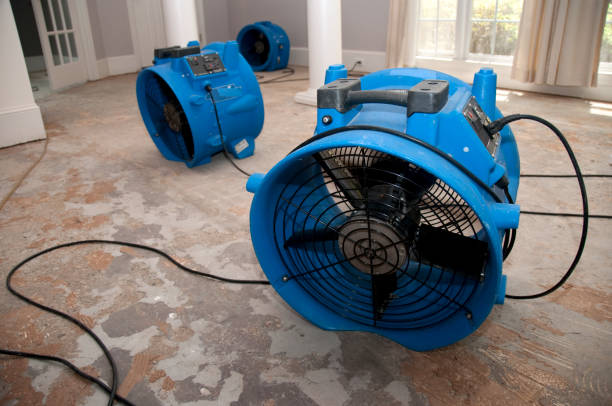 Best Carpet water damage restoration  in Huguley, AL